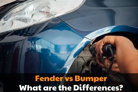 Fender vs Bumper: What are the Differences? - Brads Cartunes