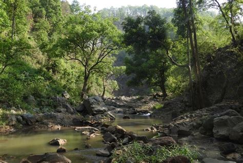 Habitat of Asian small-clawed otters in Chhattisgarh. | Download ...