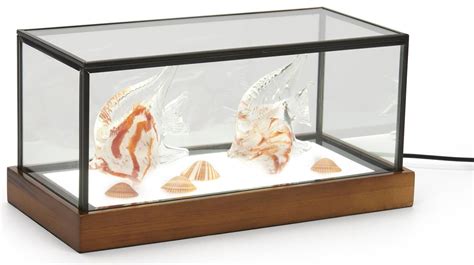 LED Glass Tabletop Display Box | Black Copper Frame w/ Wood Base