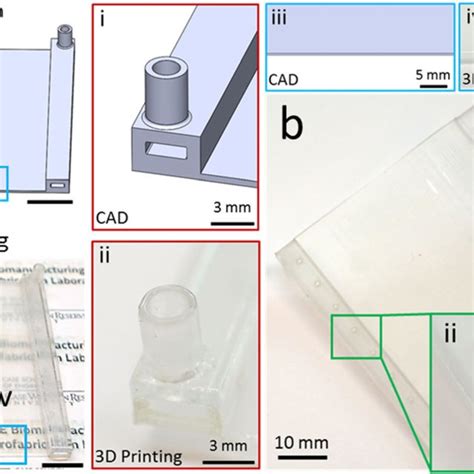 Fabrication process of the 3D printed microfluidic device. (a) Multiple ...