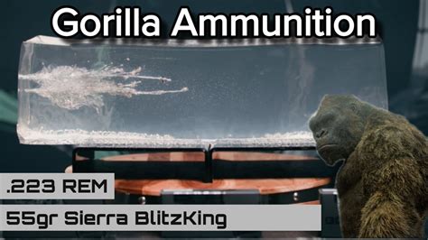 Gorilla Ammunition 223 REM 55gr Sierra BlitzKing YouTube