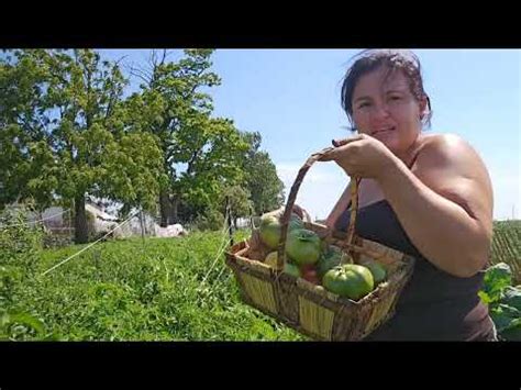 August Garden Tour And Harvest YouTube