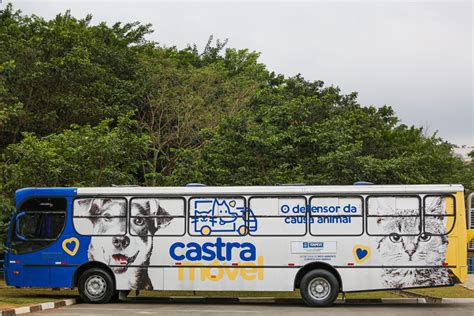 Campanha De Castra O Gratuita Come A Em Amador Bueno E Centro