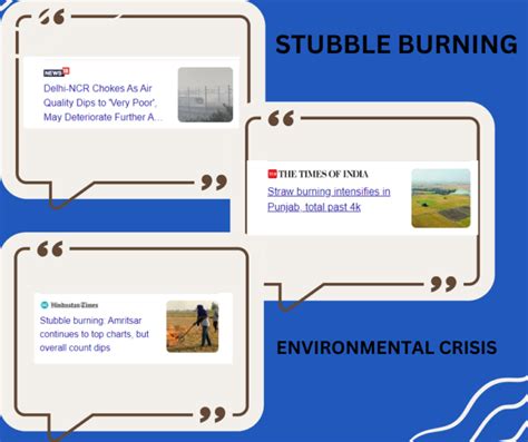 Stubble Burning: Environmental Impact and Solutions