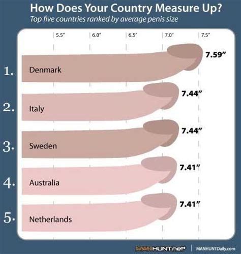 Average Pornstar Penis Length Jun Pm Quick Read