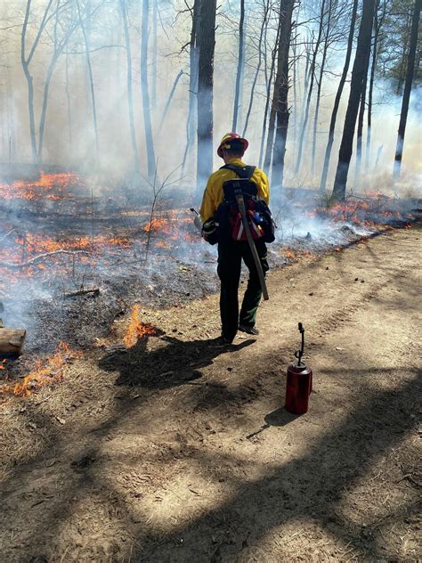 Are New York's Adirondack forests at risk of burning?