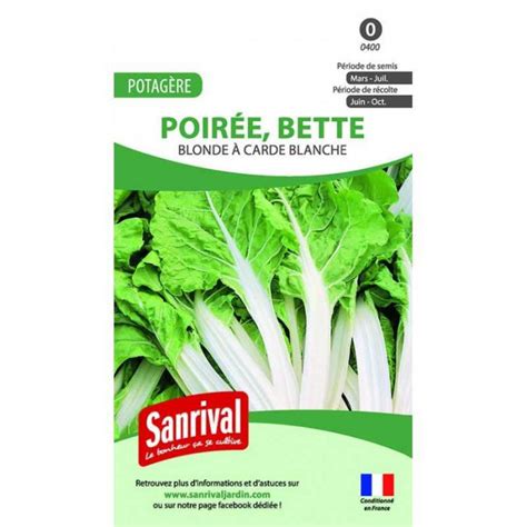 Graines De Poir E Blonde Carde Blanche Bette