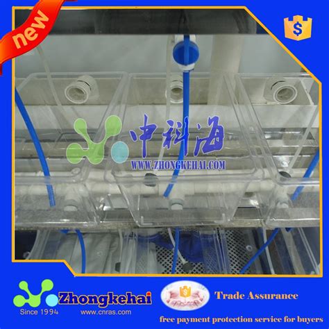 Small Fish Breeding System - Buy Small Fish Breeding System,Small Fish ...