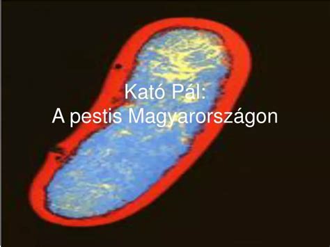 PPT Kató Pál A pestis Magyarországon PowerPoint Presentation free