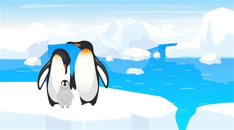 Premium Vector | South pole wildlife illustration. emperor penguins ...