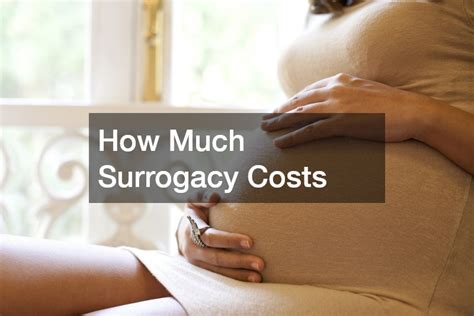 A Beginners Guide To The Surrogacy Process Financial Aid Super Site