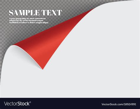 Page Curl With Shadow On A Blank Sheet Of Paper Vector Image