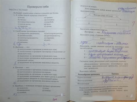 Гдз изо 3 класс перспектива учебник | Лучшие домашние задания РУнета