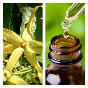 Aceite Esencial De Ylang Ylang Completo