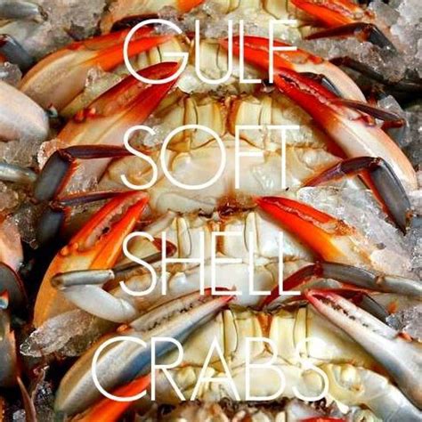 Gulf Coast Seafood (@EatGulfSeafood) | Twitter