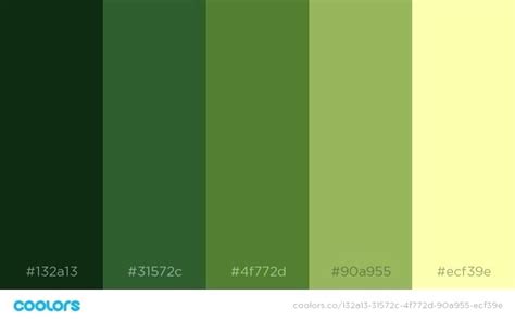 Good Looking Dark Green Color Scheme Color Schemes Gradient