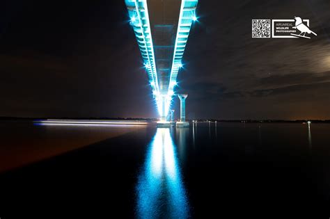 Lightway on Behance