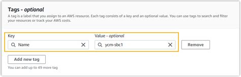 Allocate And Associate Elastic Ip Addresses