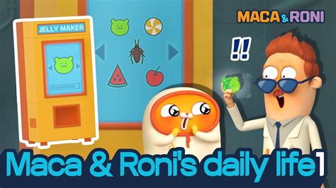 MACA RONI Maca And Roni S Daily Life 1 Macaandroni Channel Cute