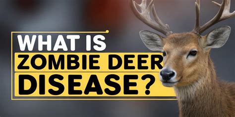 'Zombie deer disease' epidemic spreads, from Chronic Wasting Disease to ...