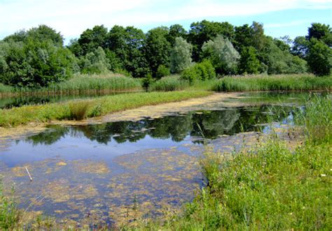 Watermill Farm, Norfolk — The Landscape Partnership