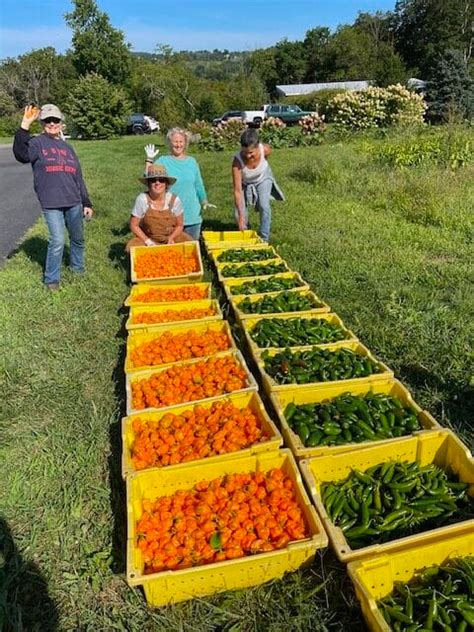 Rolling Harvest Food Rescue Gleans From Pa Farmers To Fight Food