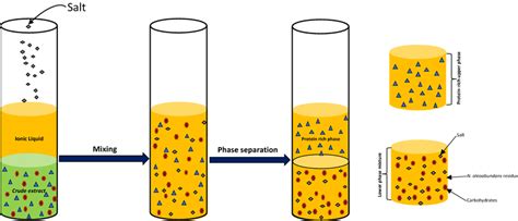 Schematic Example Of An Aqueous Two Phase System To Separate Proteins