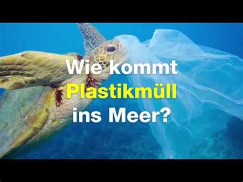 Wie Kommt Das Plastik Ins Meer YouTube