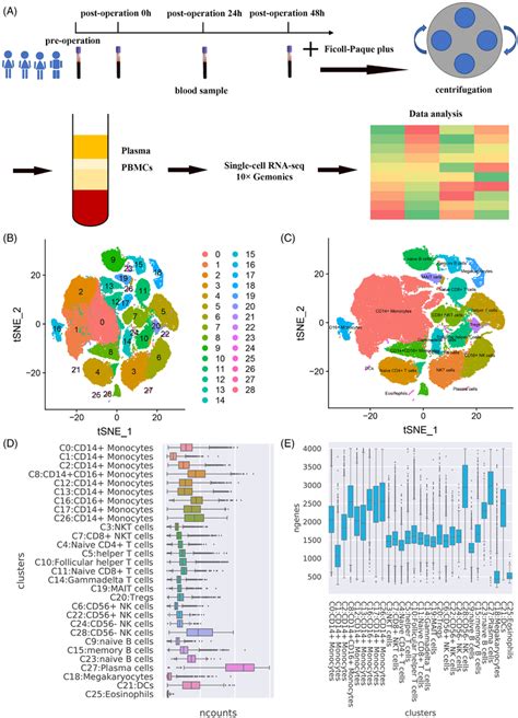 Overview Of The PBMCs Single Cells Sequence Isolated From Four