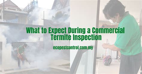 What To Expect During A Commercial Termite Inspection