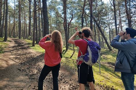 Nature Walk And Wildlife Tour In Sobieszewo Island 2024 Gdansk