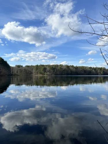 Best Walking Trails in Walden Pond State Reservation | AllTrails