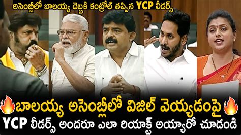 See How Ycp Leaders Uncontrolled Reaction Over Bala Krishna Whistle In