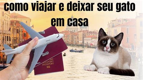 COMO VIAJAR E DEIXAR SEU GATO EM CASA YouTube