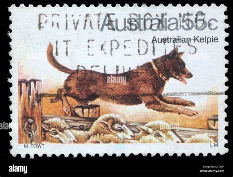 Australia Circa 1980 A Stamp Printed In Australia Shows Australian