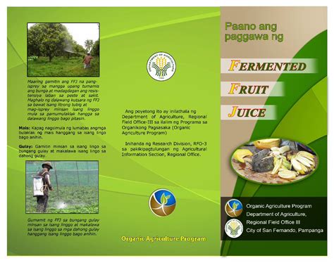 Pdf Paano Ang Paggawa Ng Fermented Fruit Juice Pdfslide Net