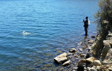 Elevenmile Reservoir Anglers Covey