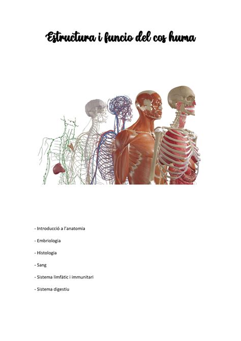 Introducció a l anatomia Estructura i funcio del cos huma Introducció