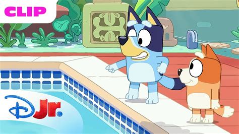 Bluey Season 1 The Pool Episode Clip Disneyjr X