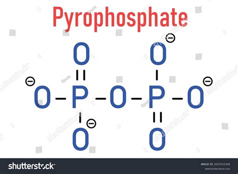 Pyrophosphate Ppi Anion Important Biochemistry Used Stock Vector ...