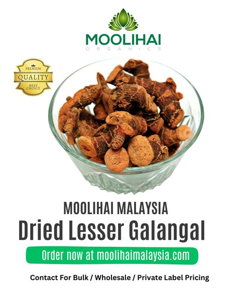 Dried Lesser Galangal Chitharathai Moolihai Malaysia