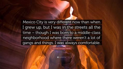 Alejandro Gonz Lez I Rritu Quote Mexico City Is Very Different Now