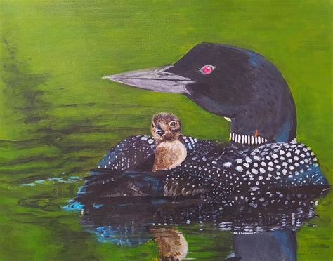 Loons On A Lake Painting By Sylvia Brallier Fine Art America