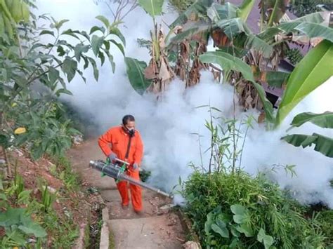 Cegah Penyebaran Dbd Dinkes Ambon Lakukan Fogging Malukuterkini