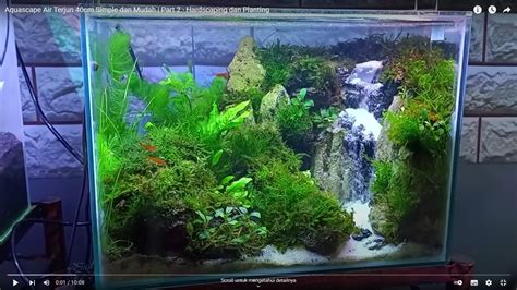 Pilihan Model Aquascape Minimalis Dengan Desain Elegan