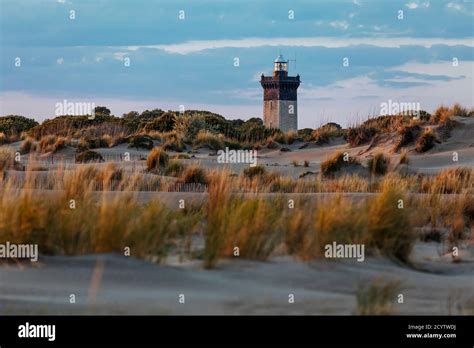 Dunes And Plage De L Espiguette Beach In Le Grau Du Roi South Of