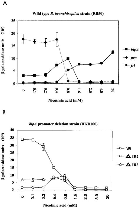 Effects Of Various Concentrations Of Nicotinic Acid On The