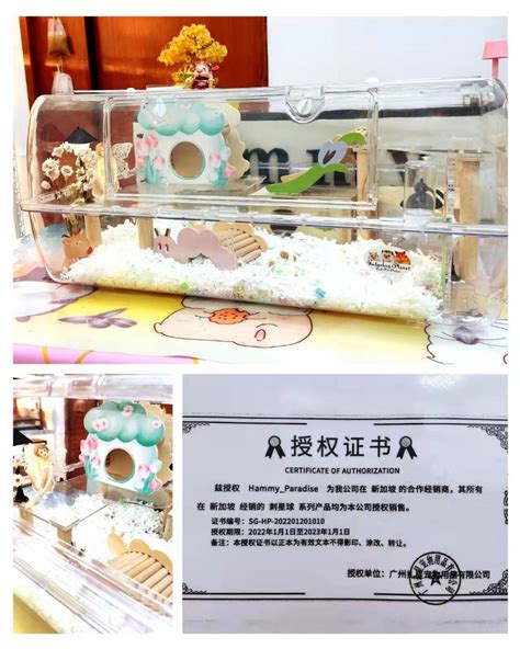 Hamster Acrylic Cage Pet Supplies Homes Other Pet Accessories On