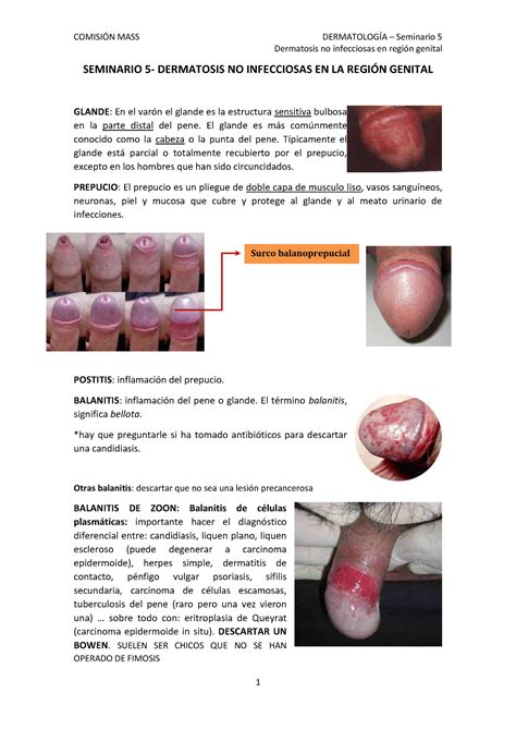 Seminario Regi N Genital Dermatosis No Infecciosas En Regi N