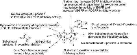 Research Progress In Quinazoline Derivatives As Multi Target Tyrosine